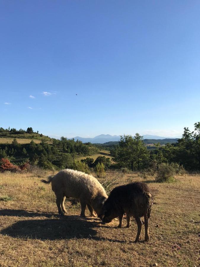 Terres De Barrejat Villa Cazals-des-Bayles Buitenkant foto
