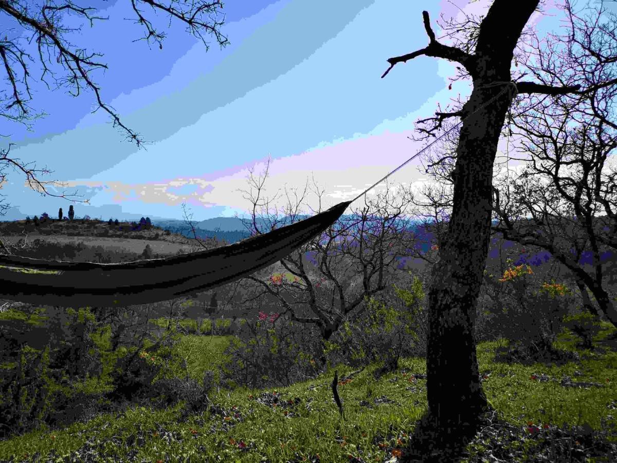 Terres De Barrejat Villa Cazals-des-Bayles Buitenkant foto